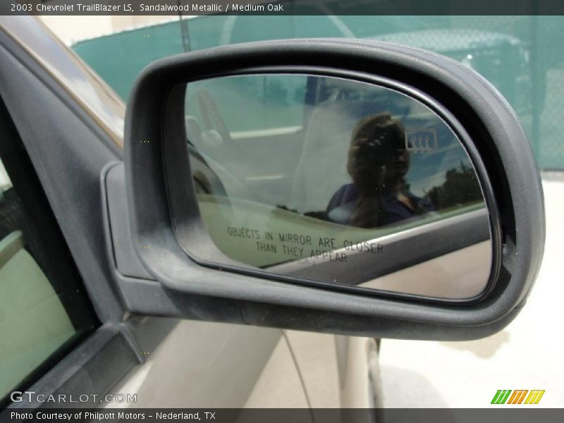 Sandalwood Metallic / Medium Oak 2003 Chevrolet TrailBlazer LS