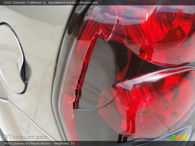 Sandalwood Metallic / Medium Oak 2003 Chevrolet TrailBlazer LS