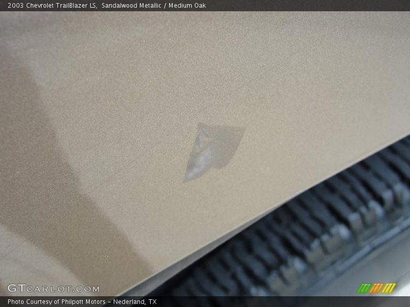 Sandalwood Metallic / Medium Oak 2003 Chevrolet TrailBlazer LS