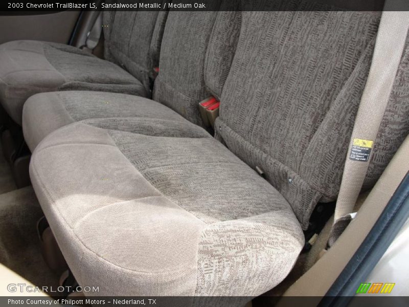 Sandalwood Metallic / Medium Oak 2003 Chevrolet TrailBlazer LS