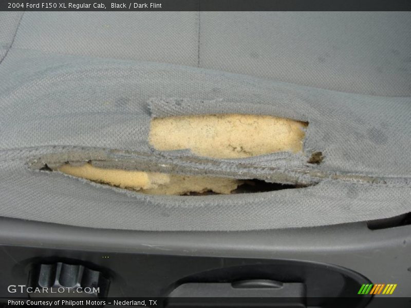 Black / Dark Flint 2004 Ford F150 XL Regular Cab