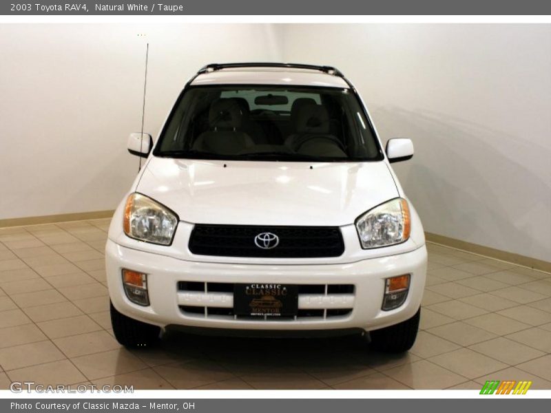 Natural White / Taupe 2003 Toyota RAV4