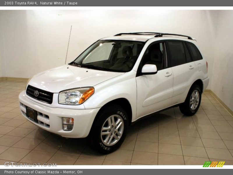 Natural White / Taupe 2003 Toyota RAV4