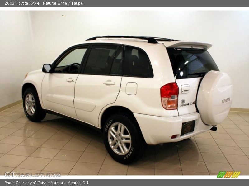 Natural White / Taupe 2003 Toyota RAV4