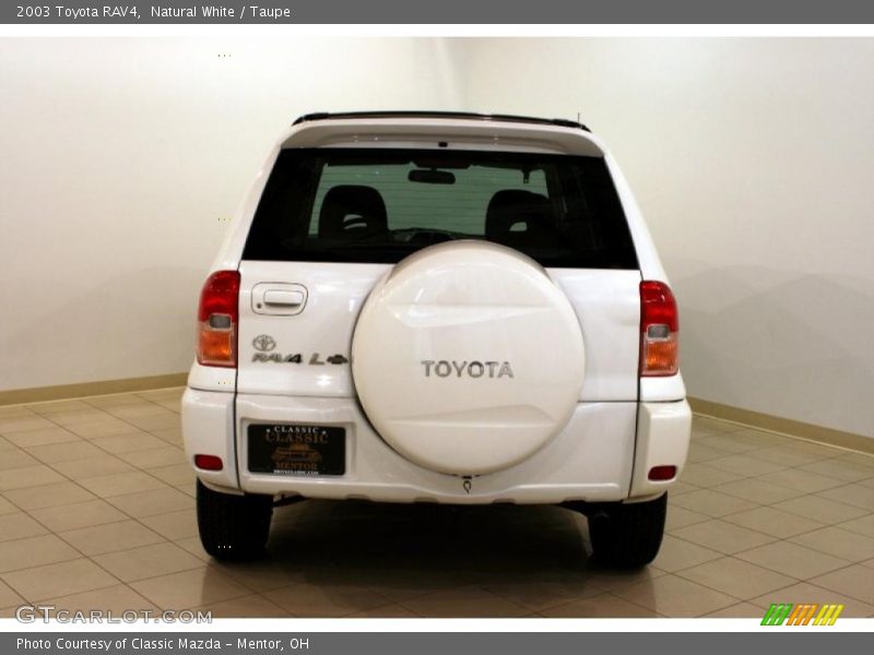 Natural White / Taupe 2003 Toyota RAV4