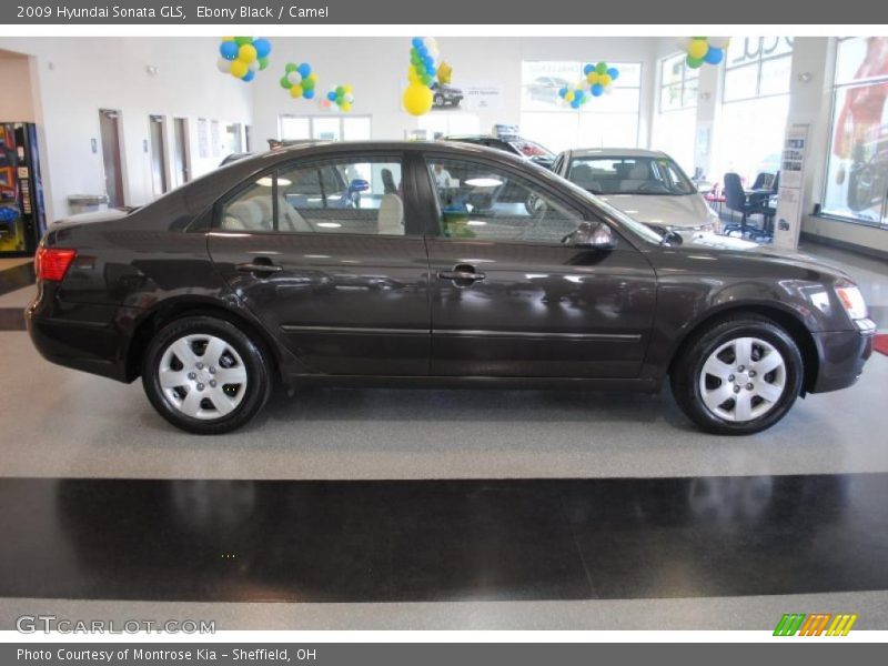 Ebony Black / Camel 2009 Hyundai Sonata GLS