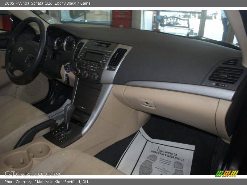 Ebony Black / Camel 2009 Hyundai Sonata GLS
