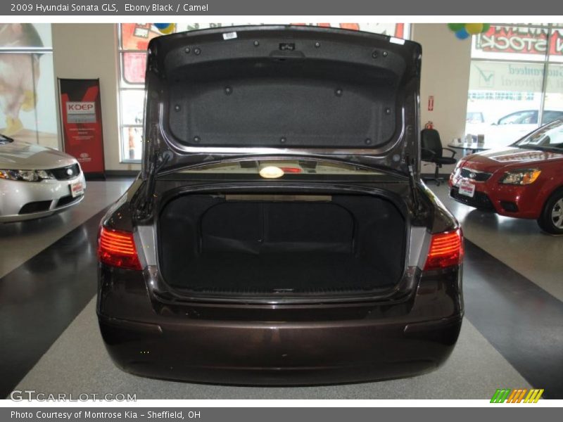 Ebony Black / Camel 2009 Hyundai Sonata GLS