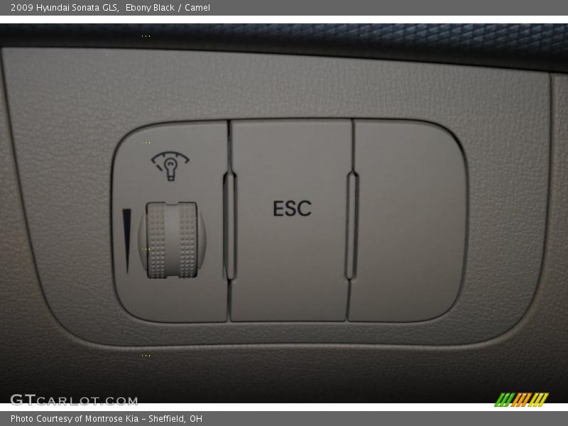 Ebony Black / Camel 2009 Hyundai Sonata GLS