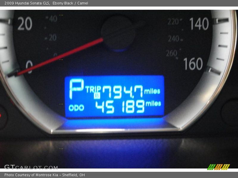 Ebony Black / Camel 2009 Hyundai Sonata GLS
