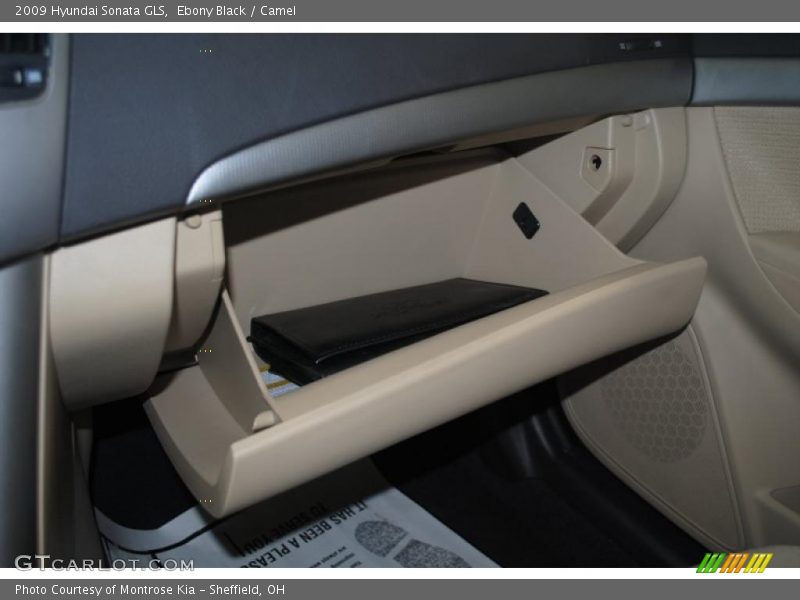 Ebony Black / Camel 2009 Hyundai Sonata GLS