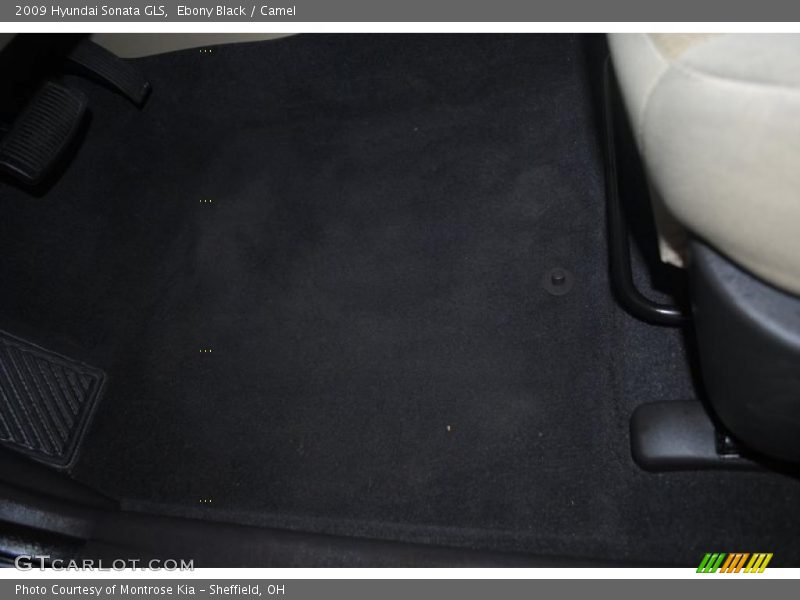 Ebony Black / Camel 2009 Hyundai Sonata GLS