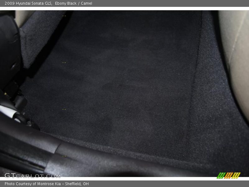 Ebony Black / Camel 2009 Hyundai Sonata GLS
