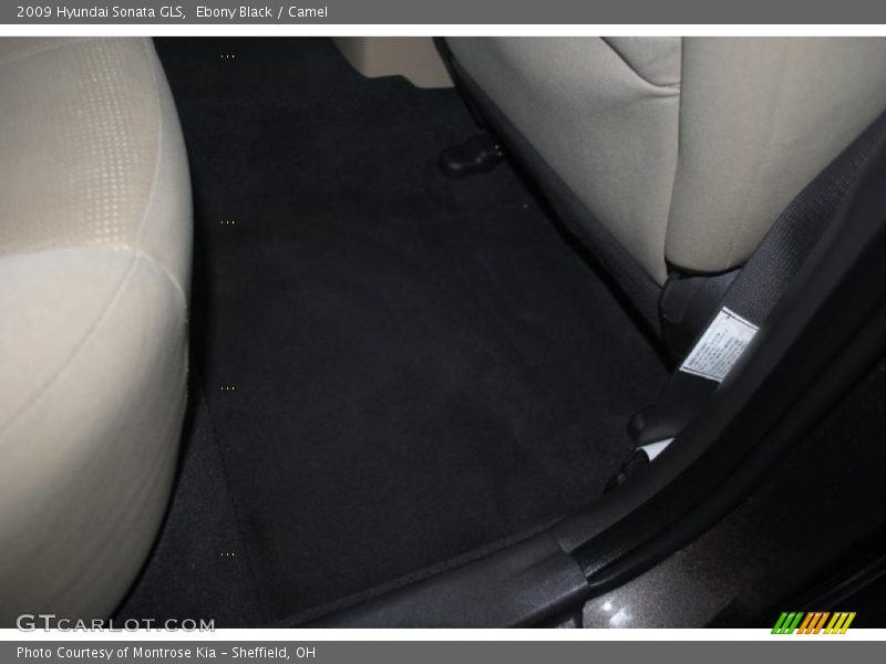 Ebony Black / Camel 2009 Hyundai Sonata GLS