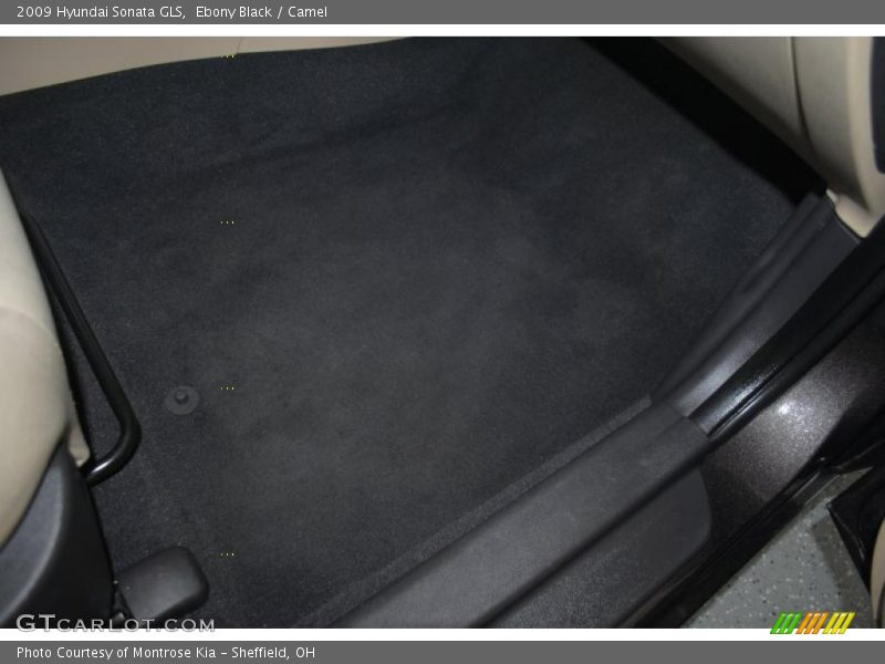 Ebony Black / Camel 2009 Hyundai Sonata GLS