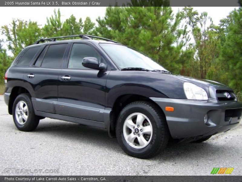 Black Obsidian / Gray 2005 Hyundai Santa Fe LX 3.5