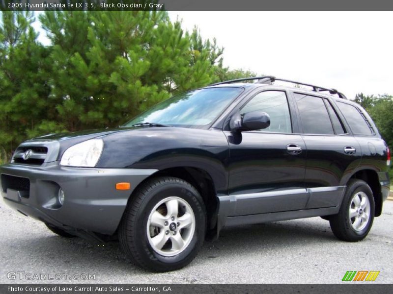 Black Obsidian / Gray 2005 Hyundai Santa Fe LX 3.5