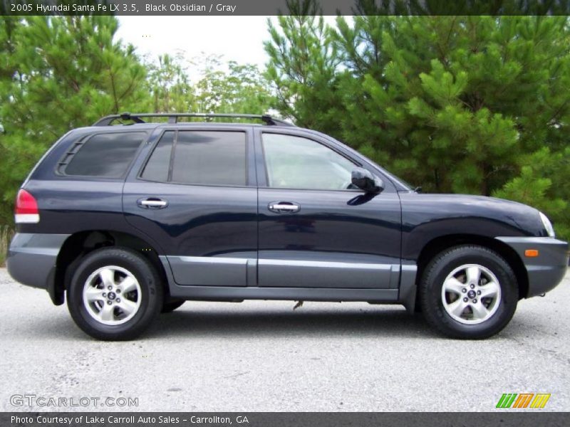 Black Obsidian / Gray 2005 Hyundai Santa Fe LX 3.5