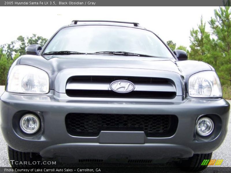 Black Obsidian / Gray 2005 Hyundai Santa Fe LX 3.5