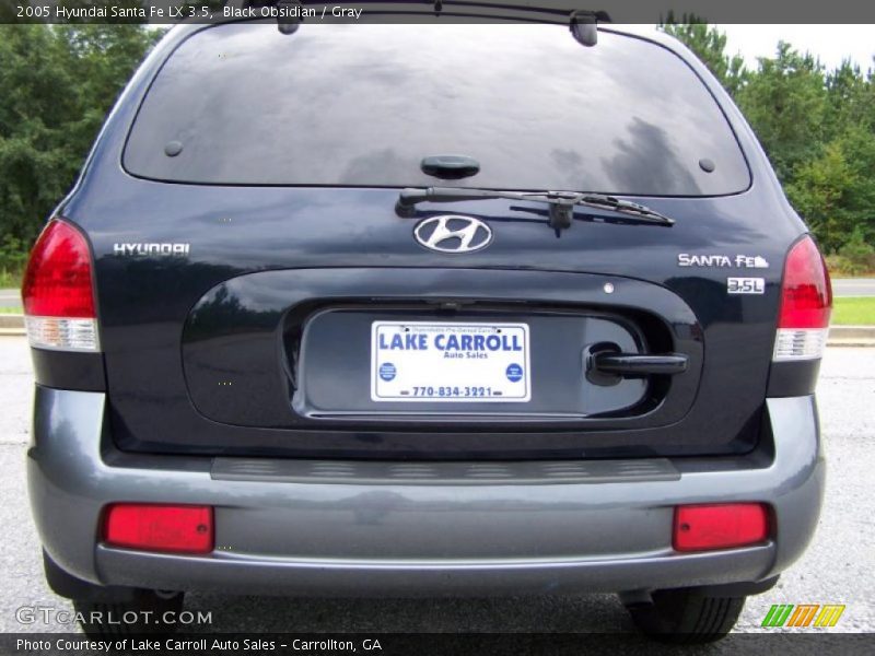 Black Obsidian / Gray 2005 Hyundai Santa Fe LX 3.5
