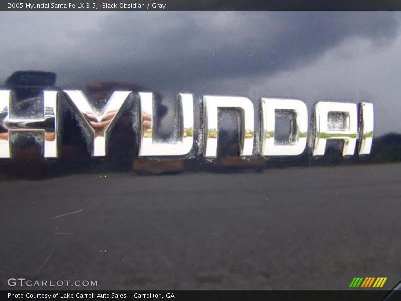 Black Obsidian / Gray 2005 Hyundai Santa Fe LX 3.5