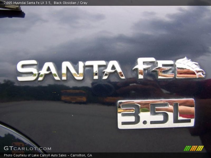 Black Obsidian / Gray 2005 Hyundai Santa Fe LX 3.5