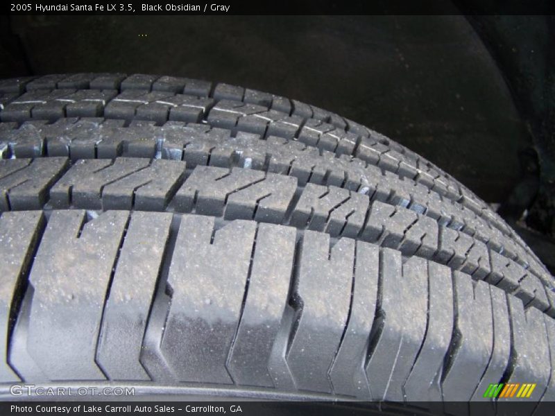 Black Obsidian / Gray 2005 Hyundai Santa Fe LX 3.5