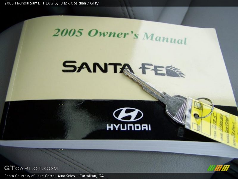 Black Obsidian / Gray 2005 Hyundai Santa Fe LX 3.5