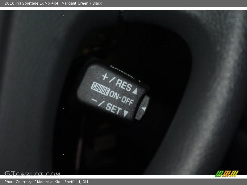 Verdant Green / Black 2010 Kia Sportage LX V6 4x4