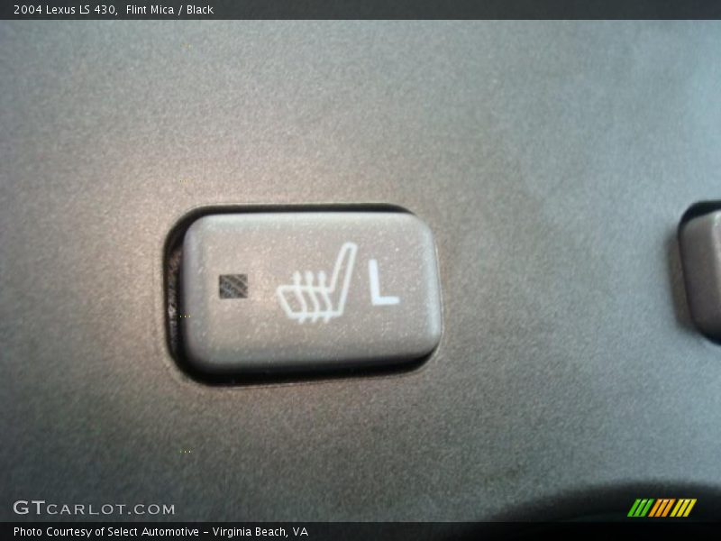 Flint Mica / Black 2004 Lexus LS 430