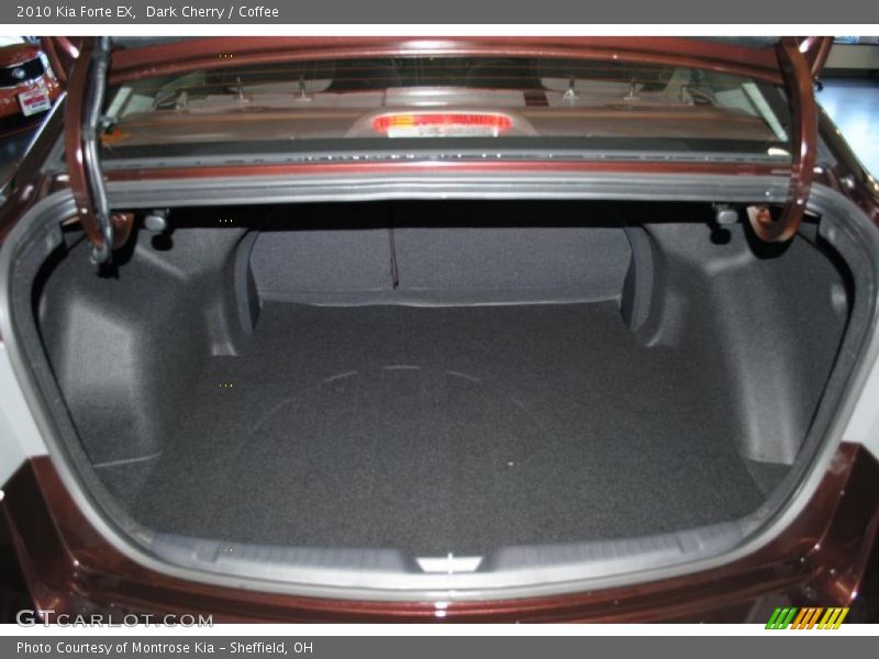 Dark Cherry / Coffee 2010 Kia Forte EX