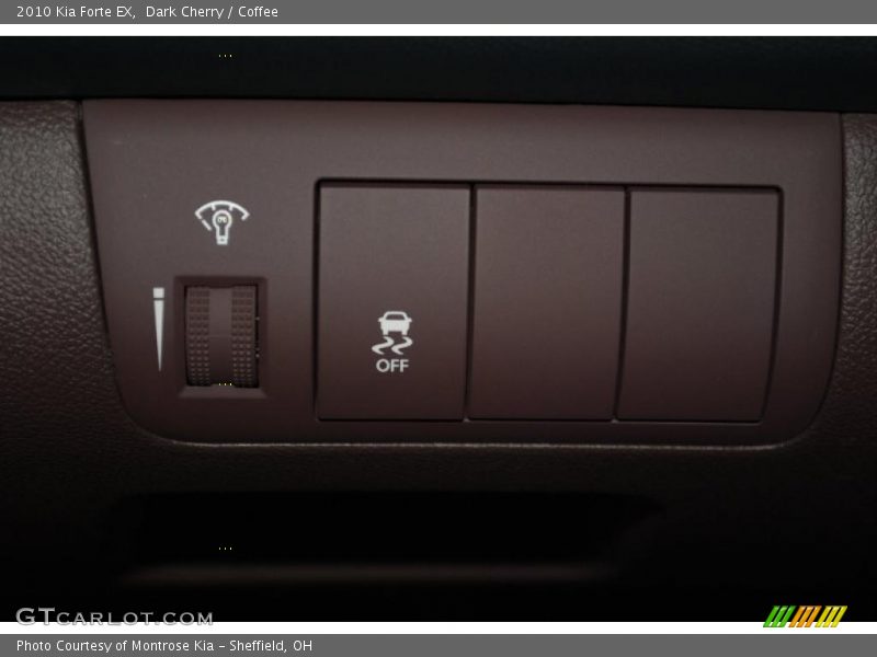 Dark Cherry / Coffee 2010 Kia Forte EX