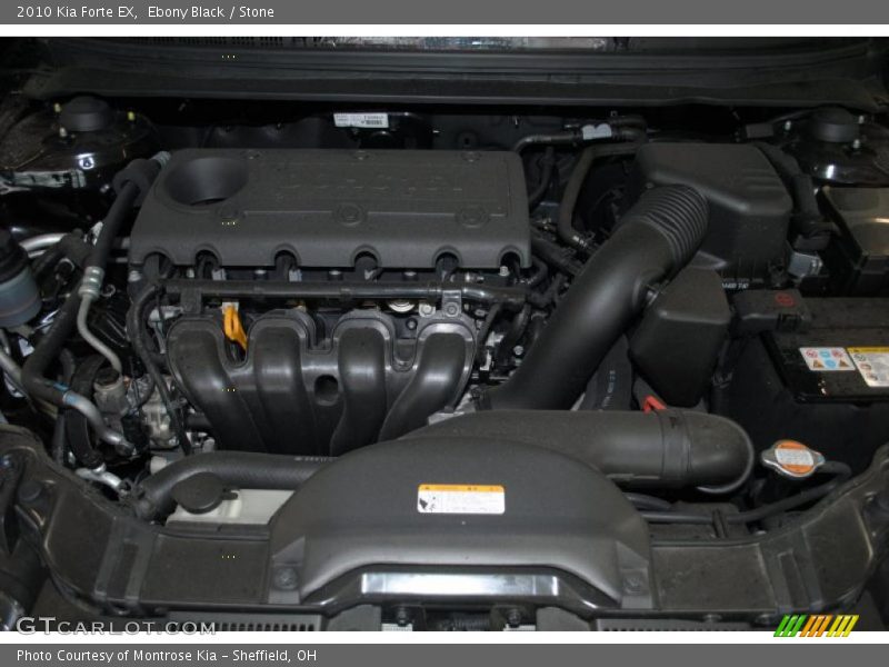 Ebony Black / Stone 2010 Kia Forte EX