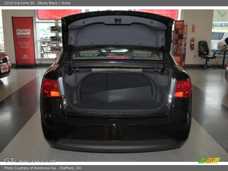 Ebony Black / Stone 2010 Kia Forte EX