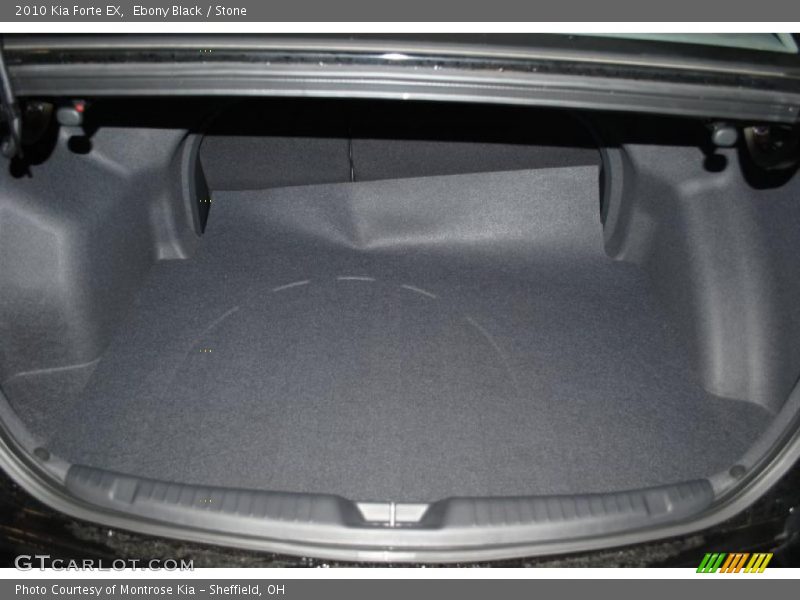 Ebony Black / Stone 2010 Kia Forte EX