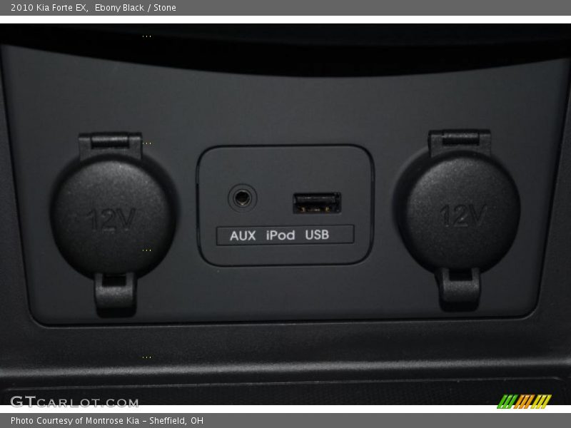 Ebony Black / Stone 2010 Kia Forte EX
