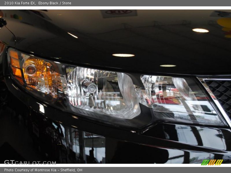 Ebony Black / Stone 2010 Kia Forte EX
