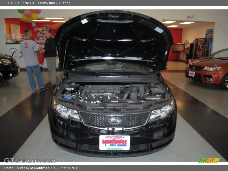 Ebony Black / Stone 2010 Kia Forte EX