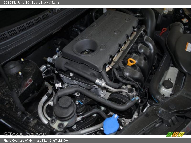 Ebony Black / Stone 2010 Kia Forte EX