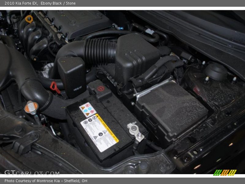 Ebony Black / Stone 2010 Kia Forte EX