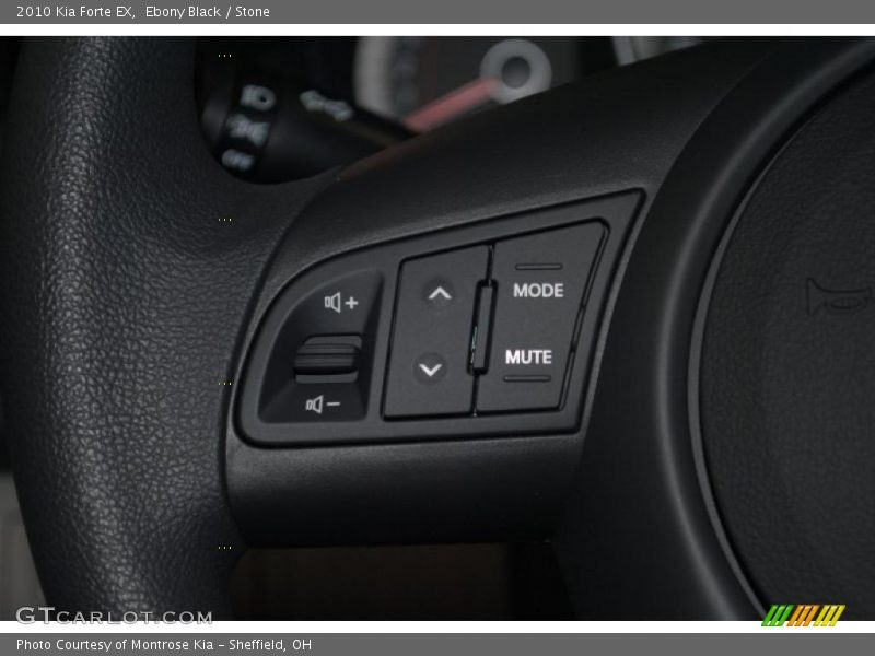 Ebony Black / Stone 2010 Kia Forte EX