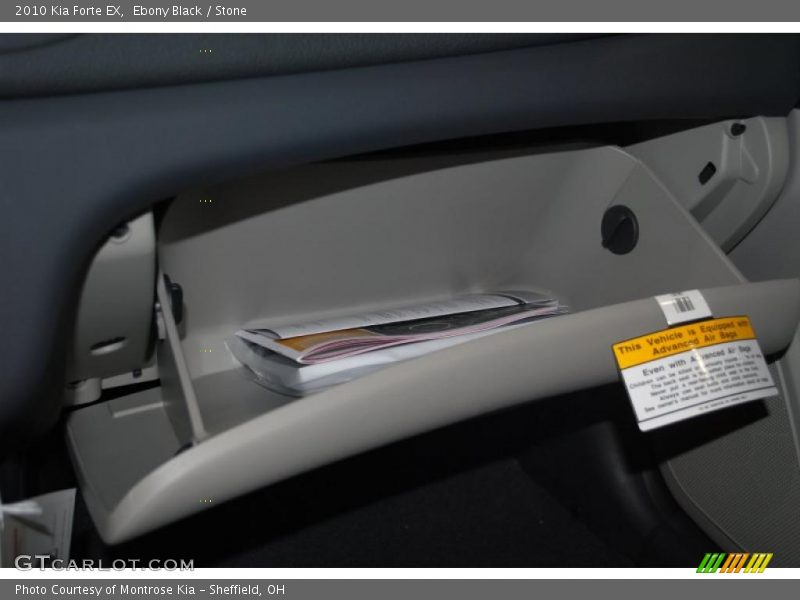 Ebony Black / Stone 2010 Kia Forte EX