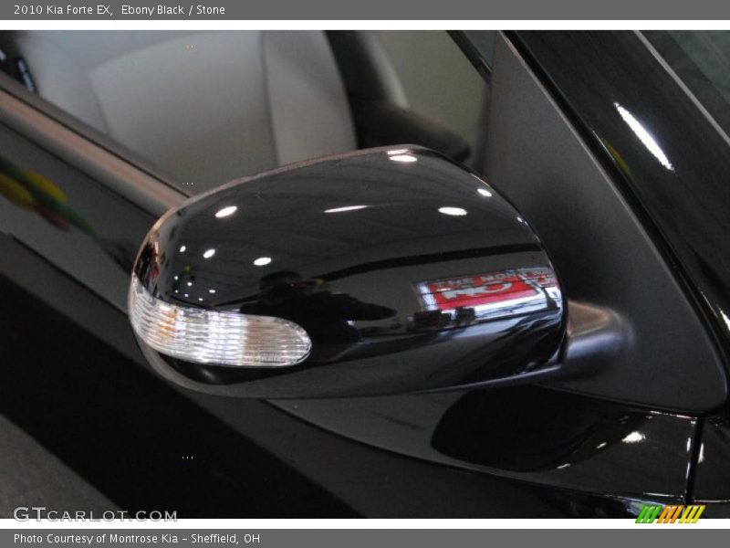 Ebony Black / Stone 2010 Kia Forte EX