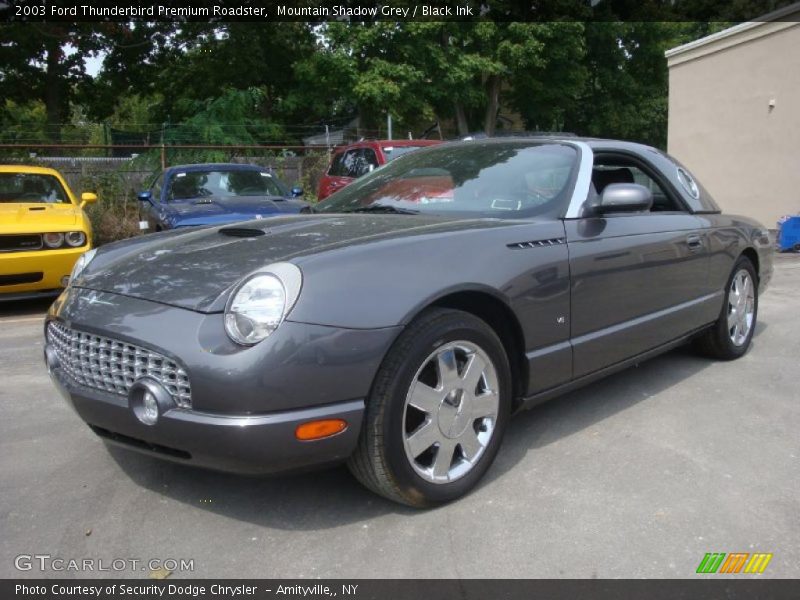Mountain Shadow Grey / Black Ink 2003 Ford Thunderbird Premium Roadster