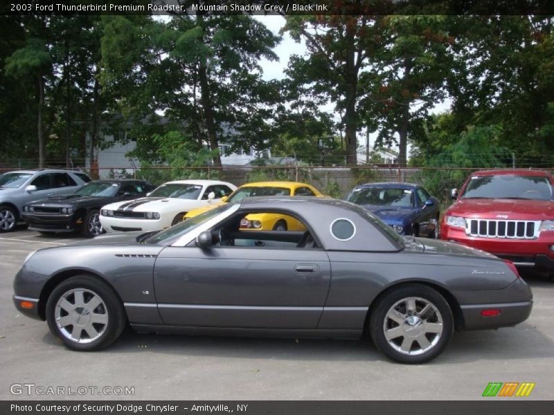 Mountain Shadow Grey / Black Ink 2003 Ford Thunderbird Premium Roadster