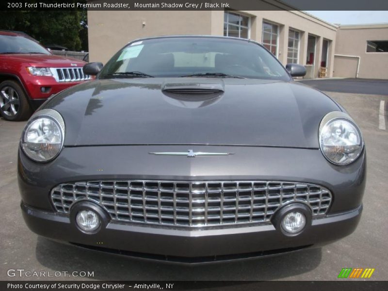 Mountain Shadow Grey / Black Ink 2003 Ford Thunderbird Premium Roadster