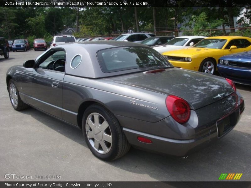 Mountain Shadow Grey / Black Ink 2003 Ford Thunderbird Premium Roadster