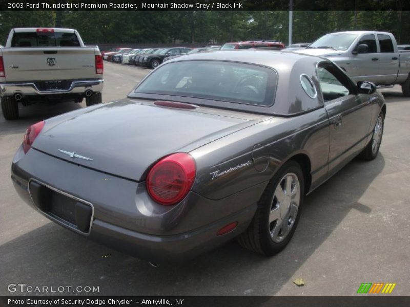 Mountain Shadow Grey / Black Ink 2003 Ford Thunderbird Premium Roadster