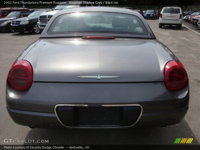 Mountain Shadow Grey / Black Ink 2003 Ford Thunderbird Premium Roadster
