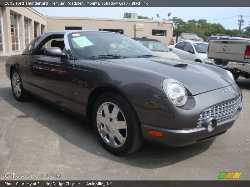 Mountain Shadow Grey / Black Ink 2003 Ford Thunderbird Premium Roadster